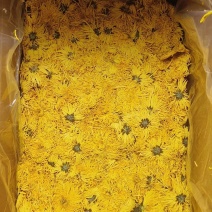 金丝菊