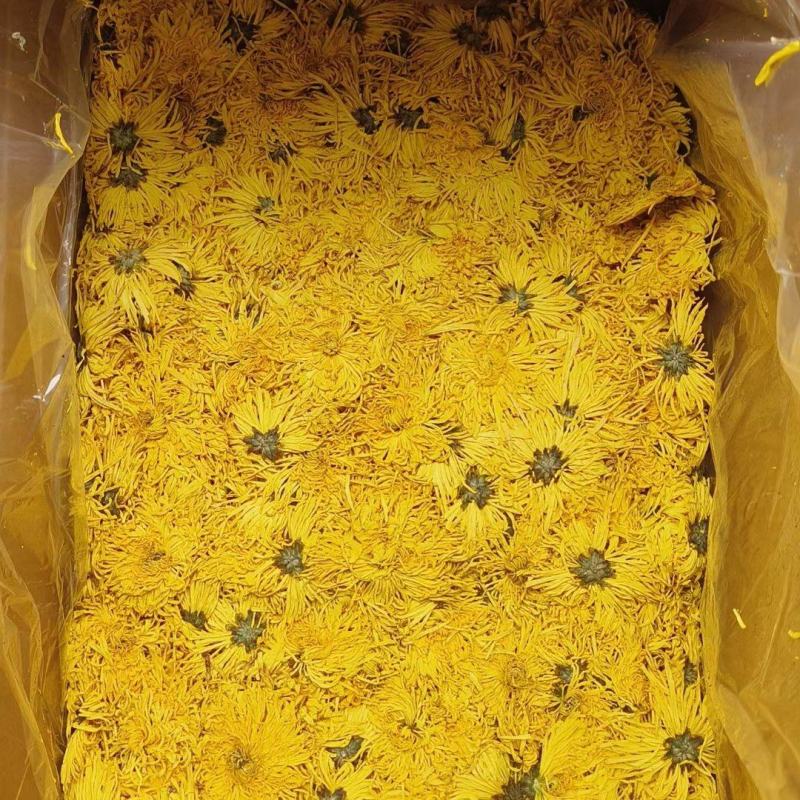 金丝菊