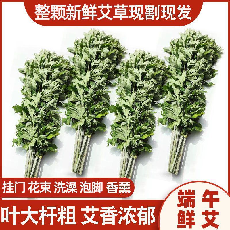 端午节艾草量大优惠按客户要求定制