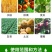 6%春雷霉素果树正品杀菌剂叶斑病稻瘟病溃疡病角斑病流胶病