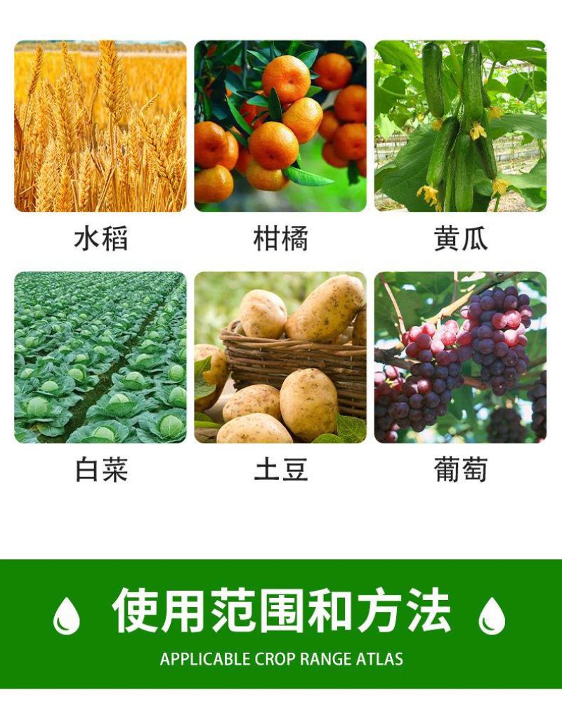 6%春雷霉素果树正品杀菌剂叶斑病稻瘟病溃疡病角斑病流胶病