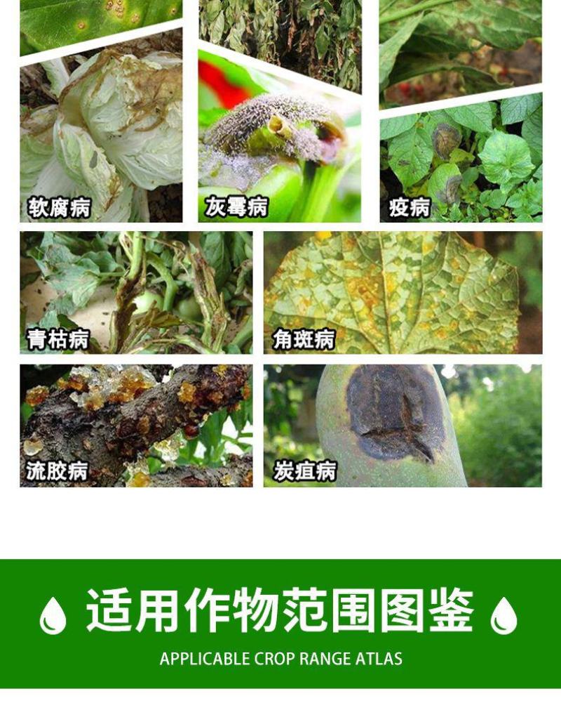 6%春雷霉素果树正品杀菌剂叶斑病稻瘟病溃疡病角斑病流胶病