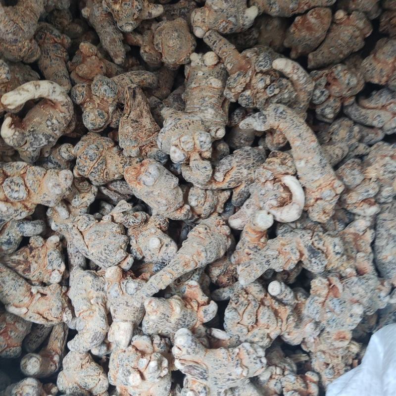 40头足干三七。