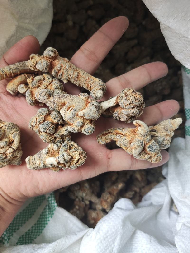 40头足干三七。