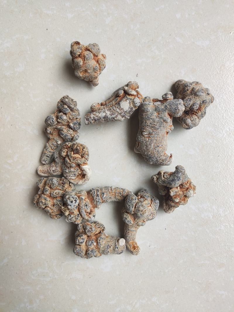 40头足干三七。