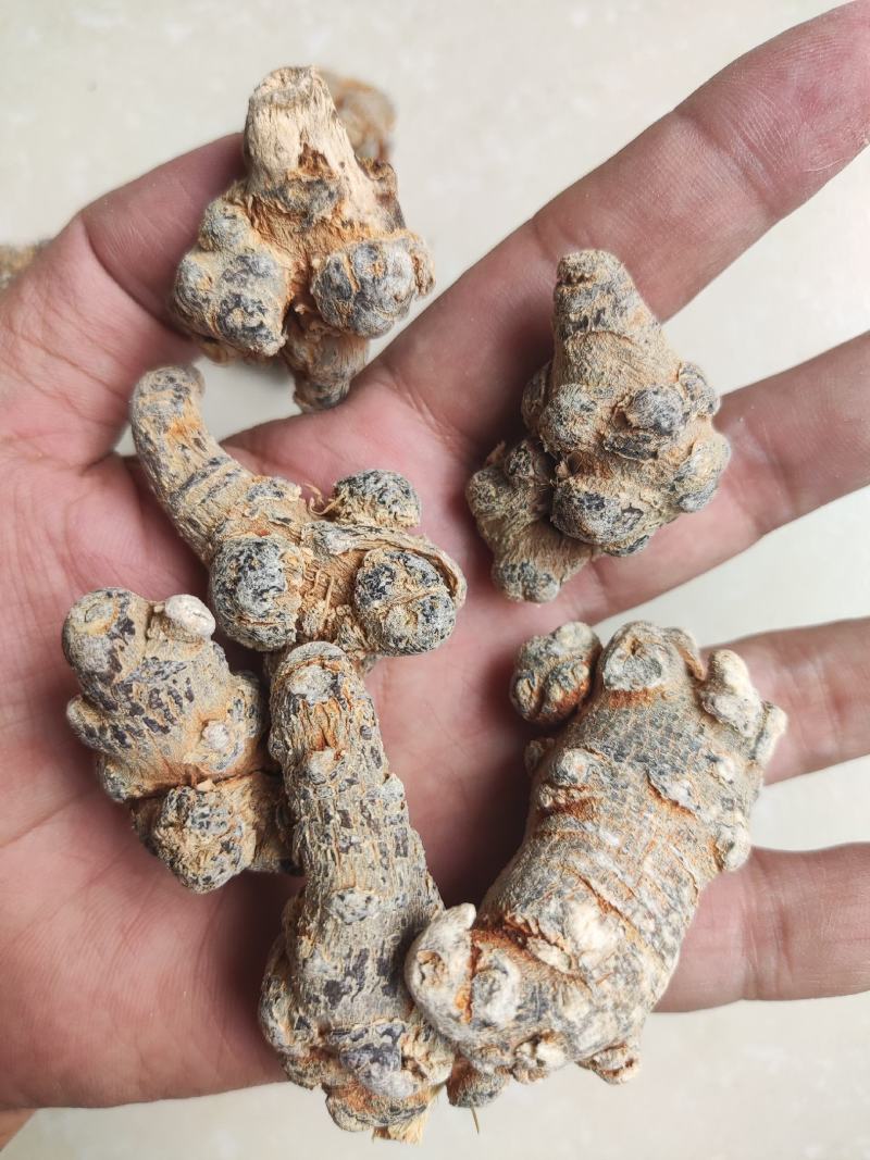 40头足干三七。