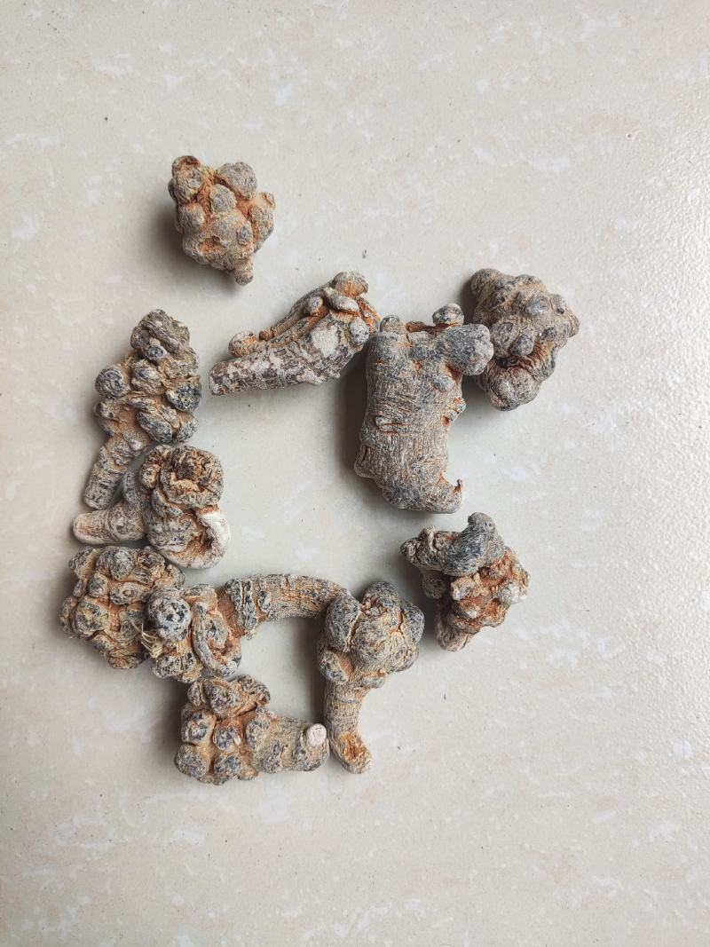 40头足干三七。