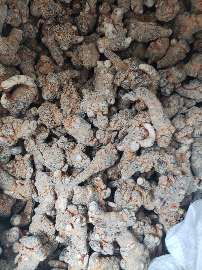 40头足干三七。