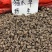 安徽中药材野生猫爪草小毛茛水洗猫抓草500克