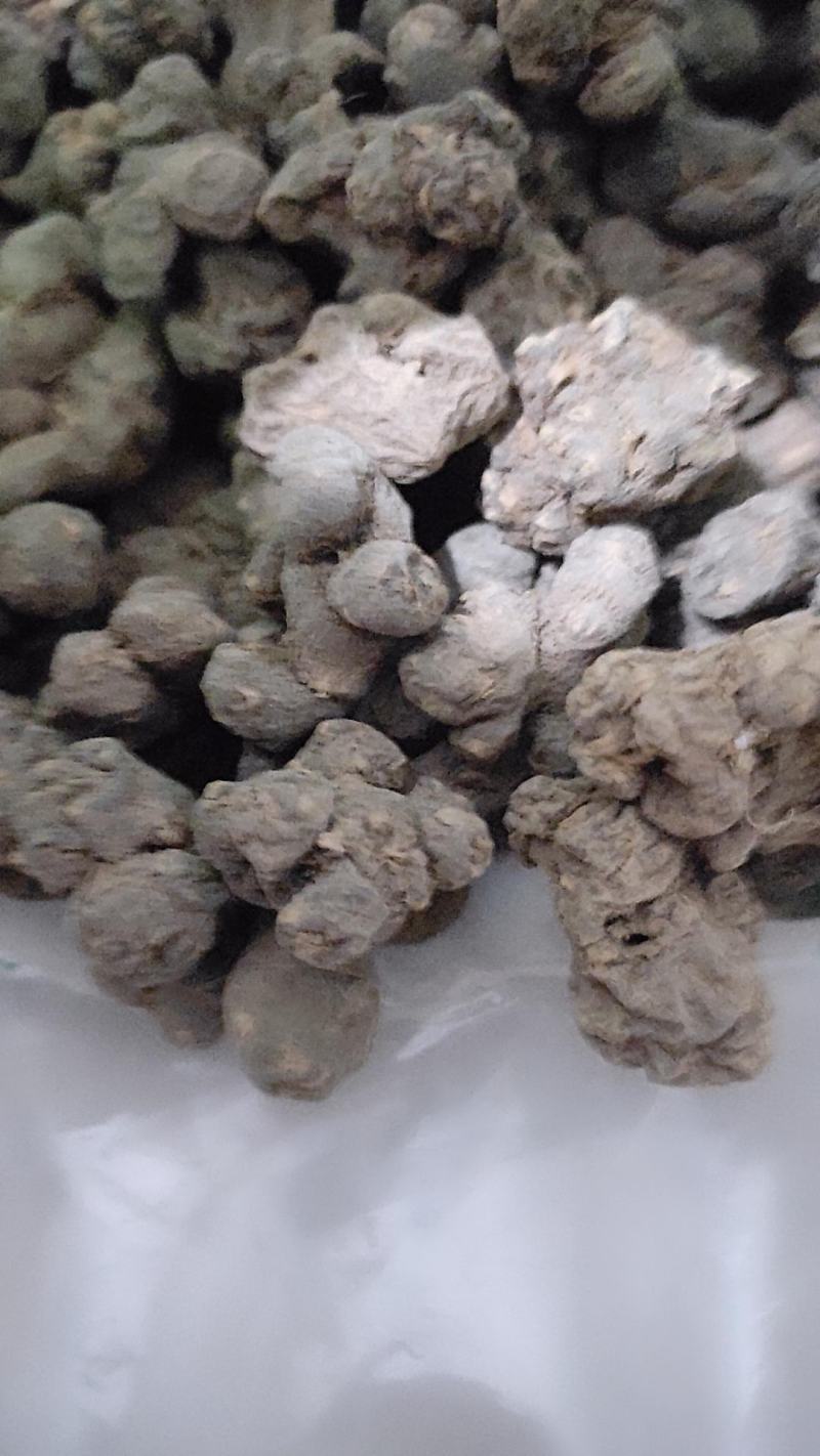 猫爪草中药材野生猫抓草正品散装新鲜干货水洗猫爪草