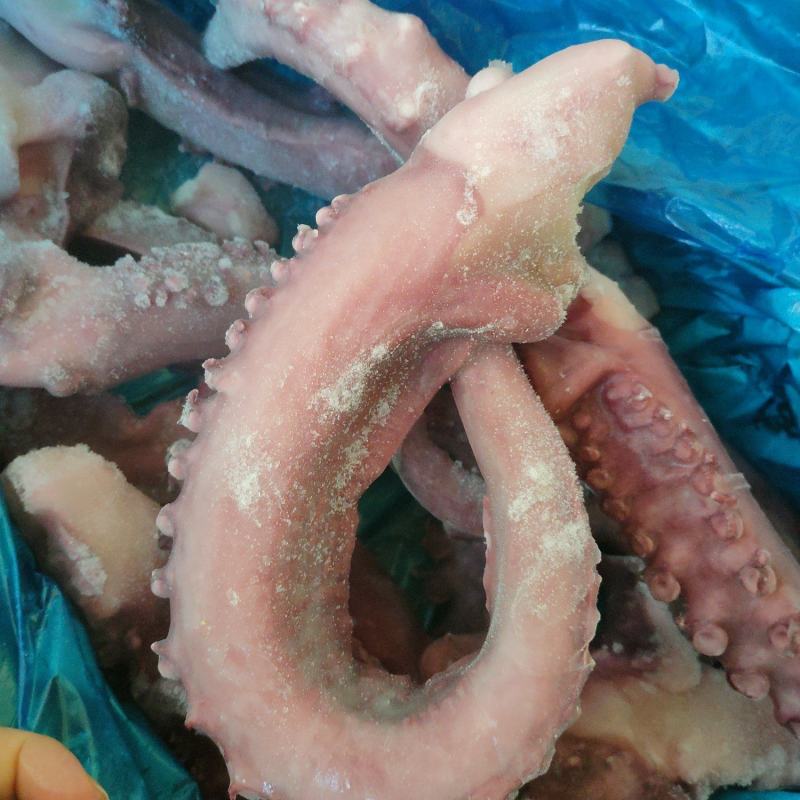 章鱼足/八爪足规格大品质好长期供应各地餐饮使用
