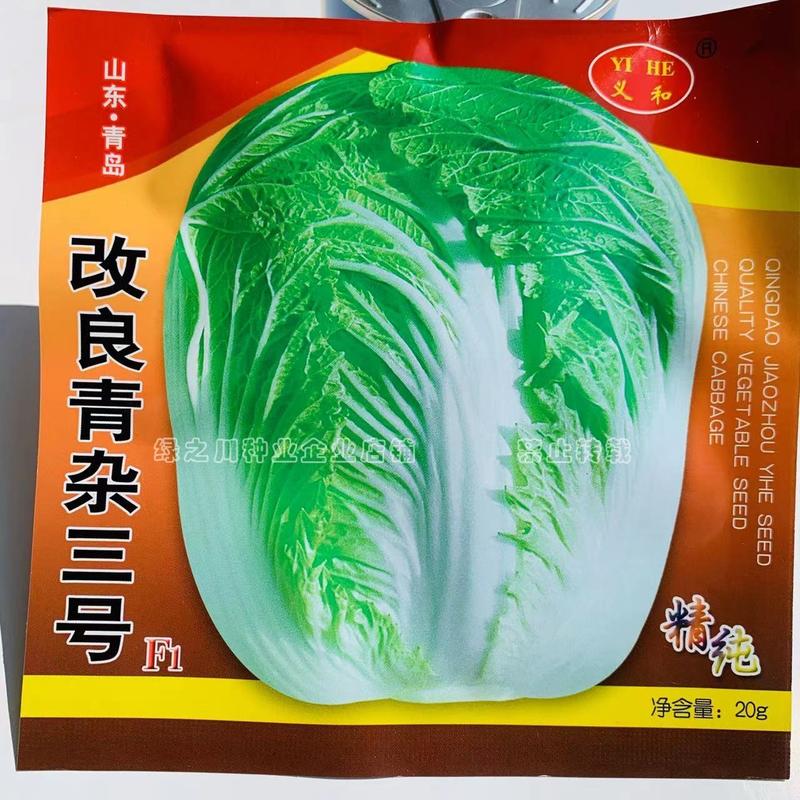 义和改良青杂三号白菜种子基地专用大白菜种子袋装罐装批发
