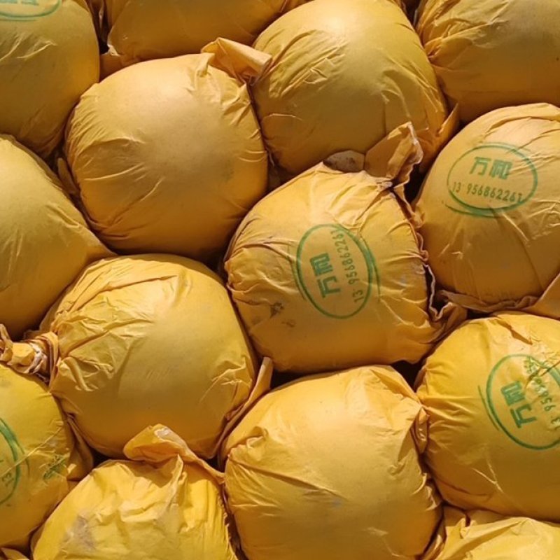 精品皇冠梨300g以上纸袋