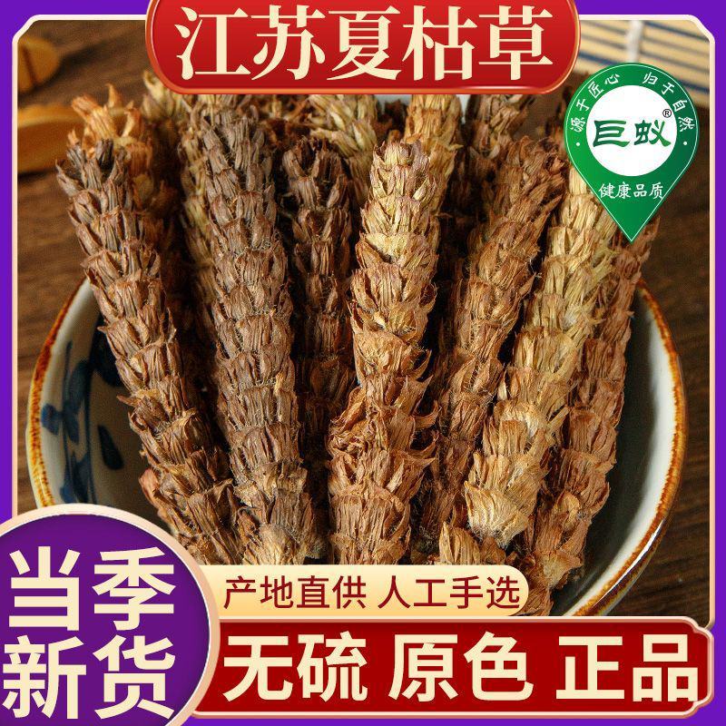 猫抓草中药材正品猫抓草泡茶水猫瓜草新鲜批发夏枯草车前猫抓