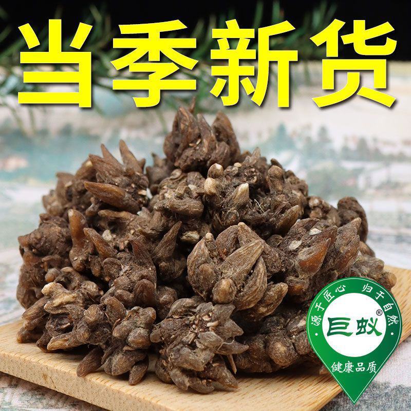 猫抓草中药材正品猫抓草泡茶水猫瓜草新鲜批发夏枯草车前猫抓