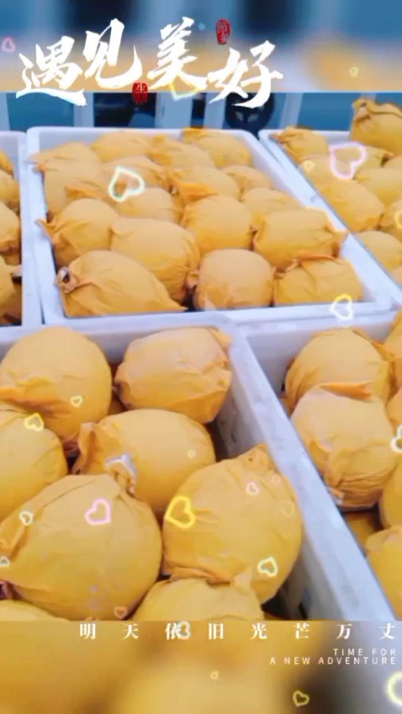 精品皇冠梨300g以上纸袋