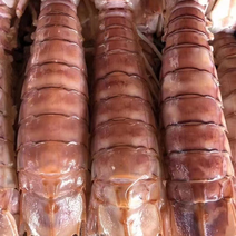 活煮满肉皮皮虾，还有海鳌虾各种虾类