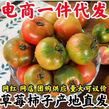 海阳草莓绿腚西红柿铁皮柿子脆甜沙瓤番茄现摘现发