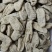天麻干天麻昭通天麻乌天麻精品干天麻条子天麻子现货供应