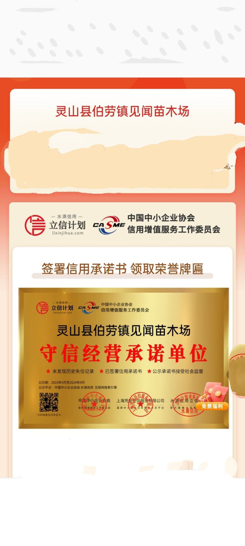 【牛商推荐】木姜子种苗，自产自销，可视频看货，价格美丽
