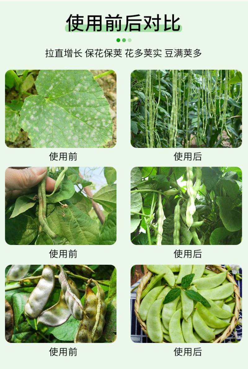 豆角专用水溶肥，全水溶，无残渣效果明显适用于各种豆角品种