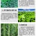 豆角专用水溶肥，全水溶，无残渣效果明显适用于各种豆角品种