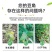 豆角专用水溶肥，全水溶，无残渣效果明显适用于各种豆角品种
