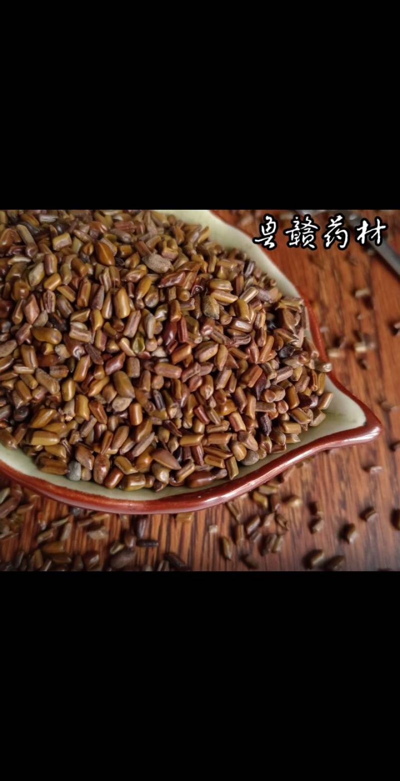 决明子，草决明，现货供应，鲁赣药材批发