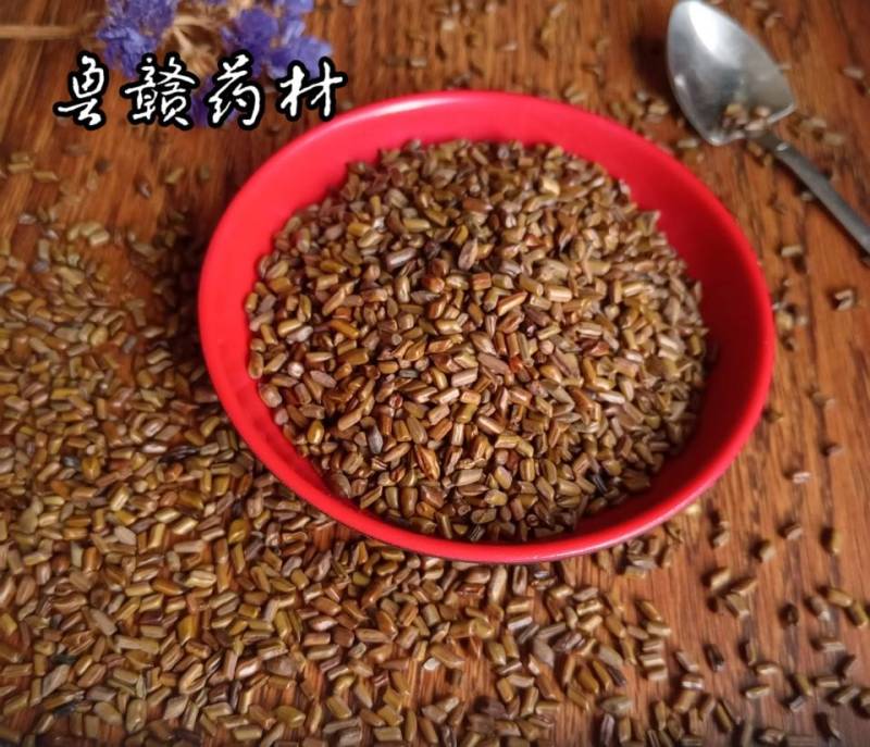 决明子，草决明，现货供应，鲁赣药材批发