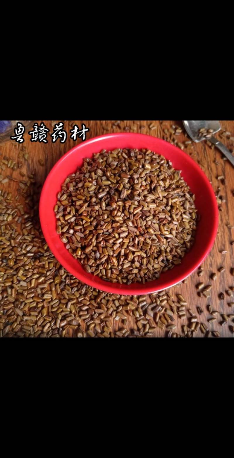 决明子，草决明，现货供应，鲁赣药材批发