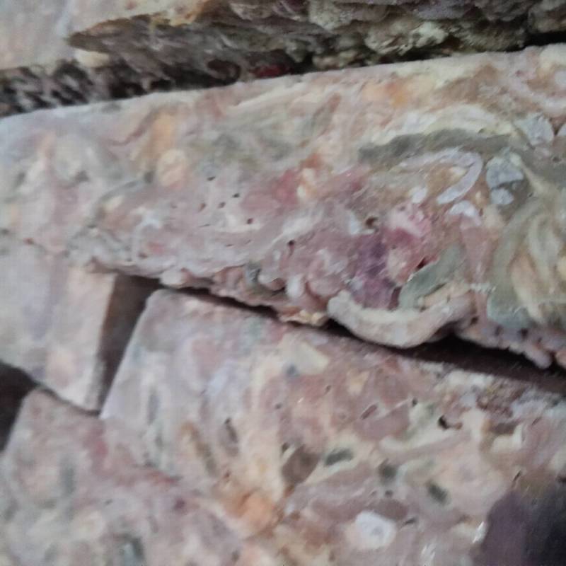 鱼饲料