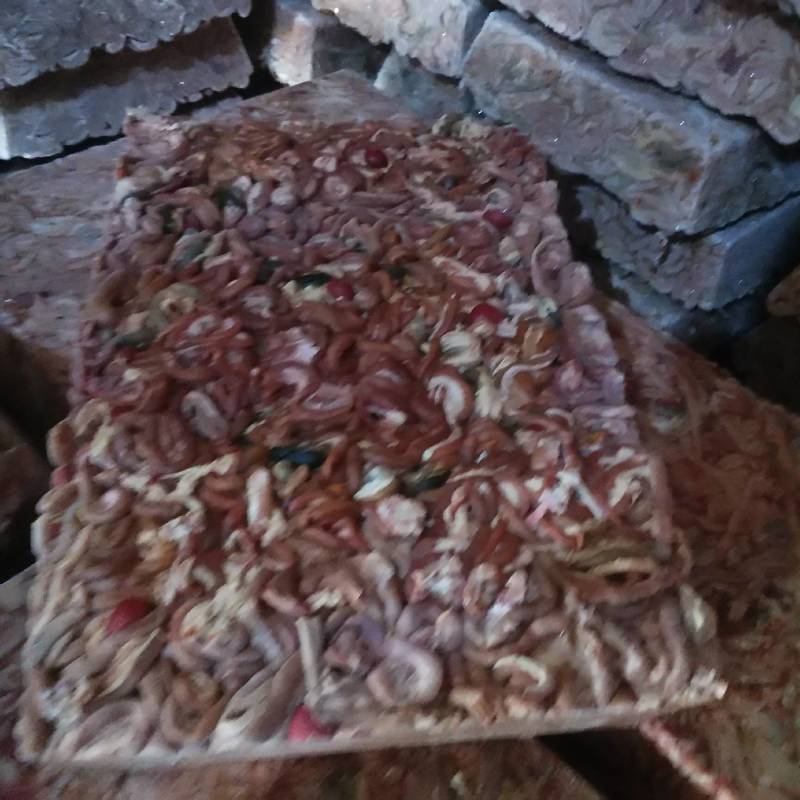 鱼饲料