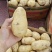 黄心土豆大量上市价格低，电商土豆，保质保量