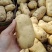 黄心土豆大量上市价格低，电商土豆，保质保量