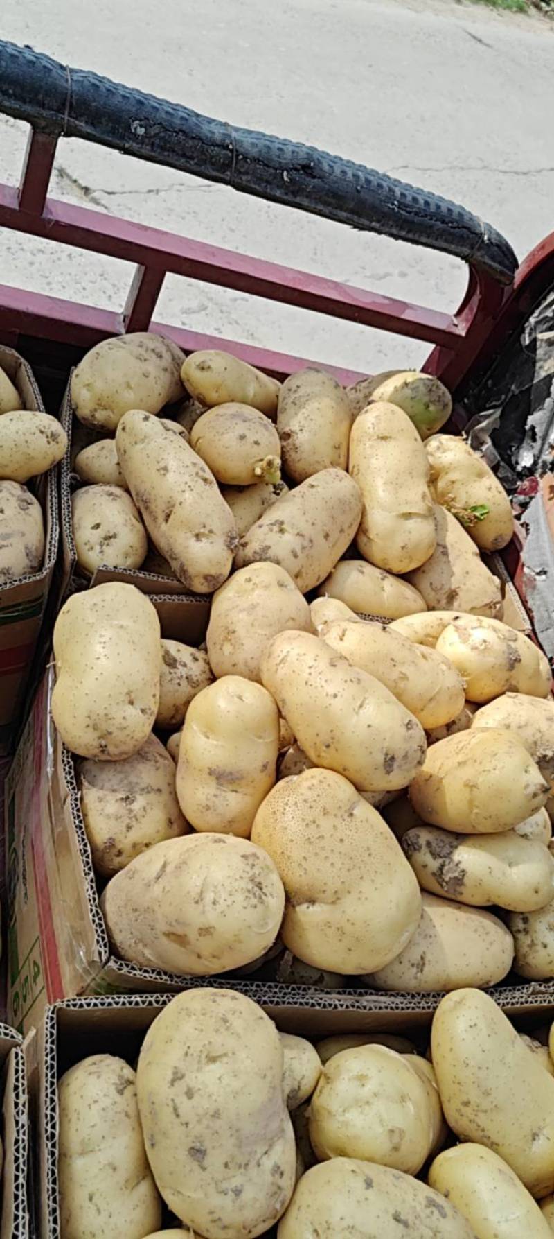 黄心土豆大量上市价格低，电商土豆，保质保量