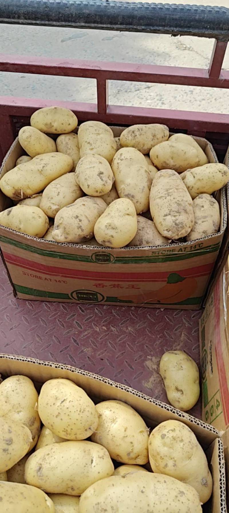 黄心土豆大量上市价格低，电商土豆，保质保量