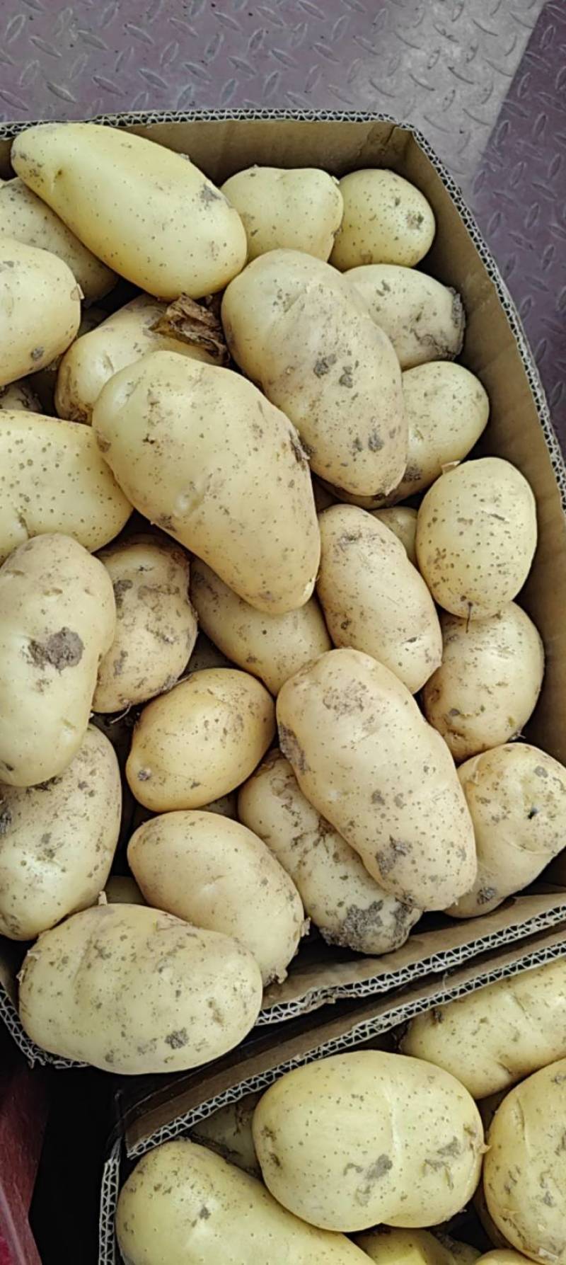 黄心土豆大量上市价格低，电商土豆，保质保量