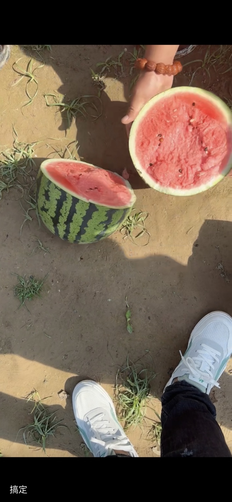 精品甜王大量有货需要的客商可以联系