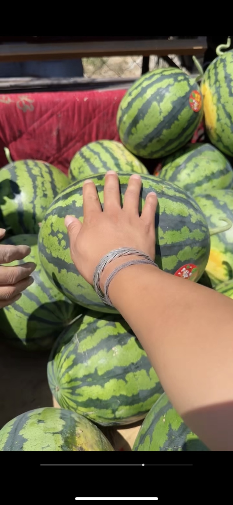 精品甜王大量有货需要的客商可以联系