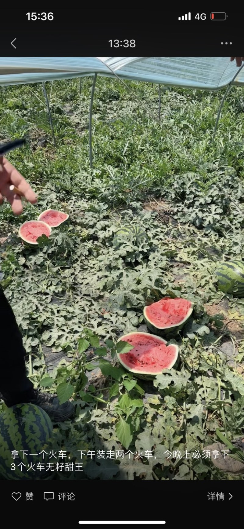 精品甜王大量有货需要的客商可以联系