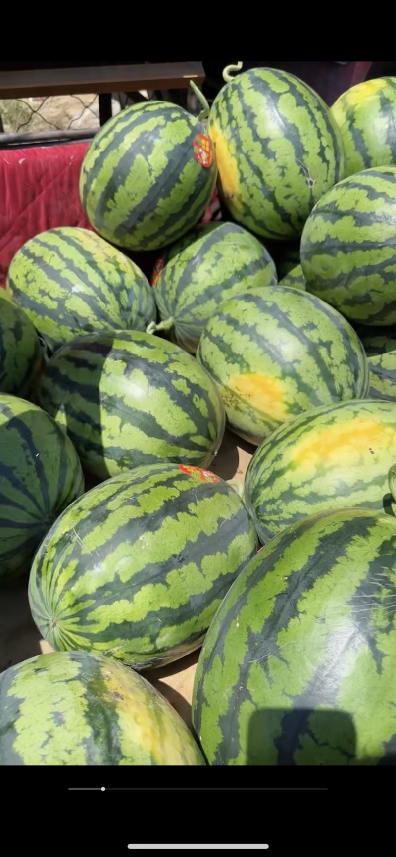 精品甜王大量有货需要的客商可以联系