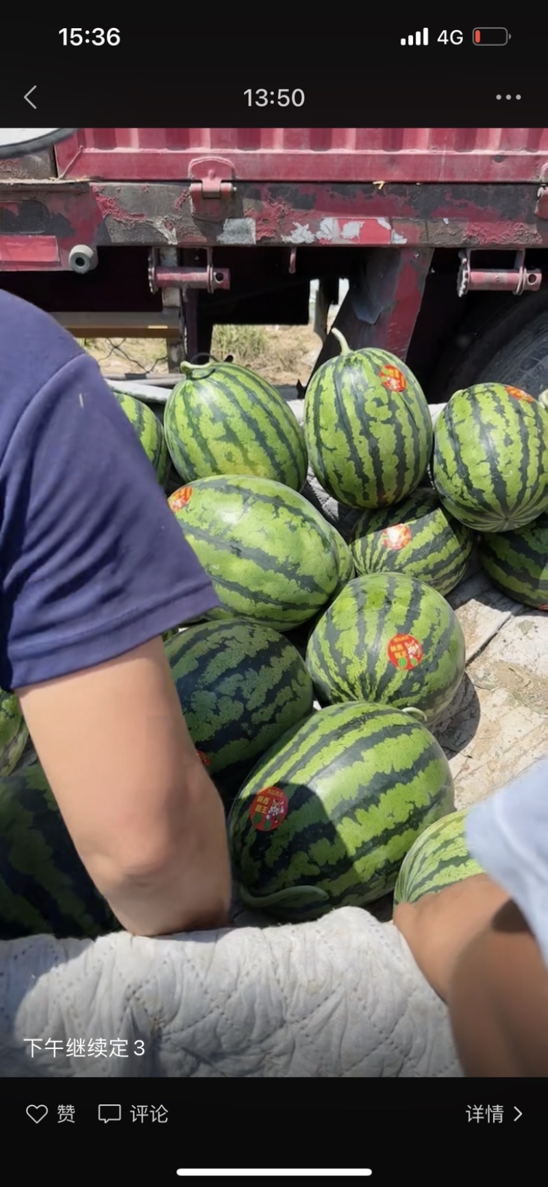 精品甜王大量有货需要的客商可以联系