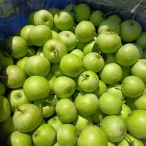 山东苹果，美八苹果，产地直供，可货口感脆甜，硬度好代