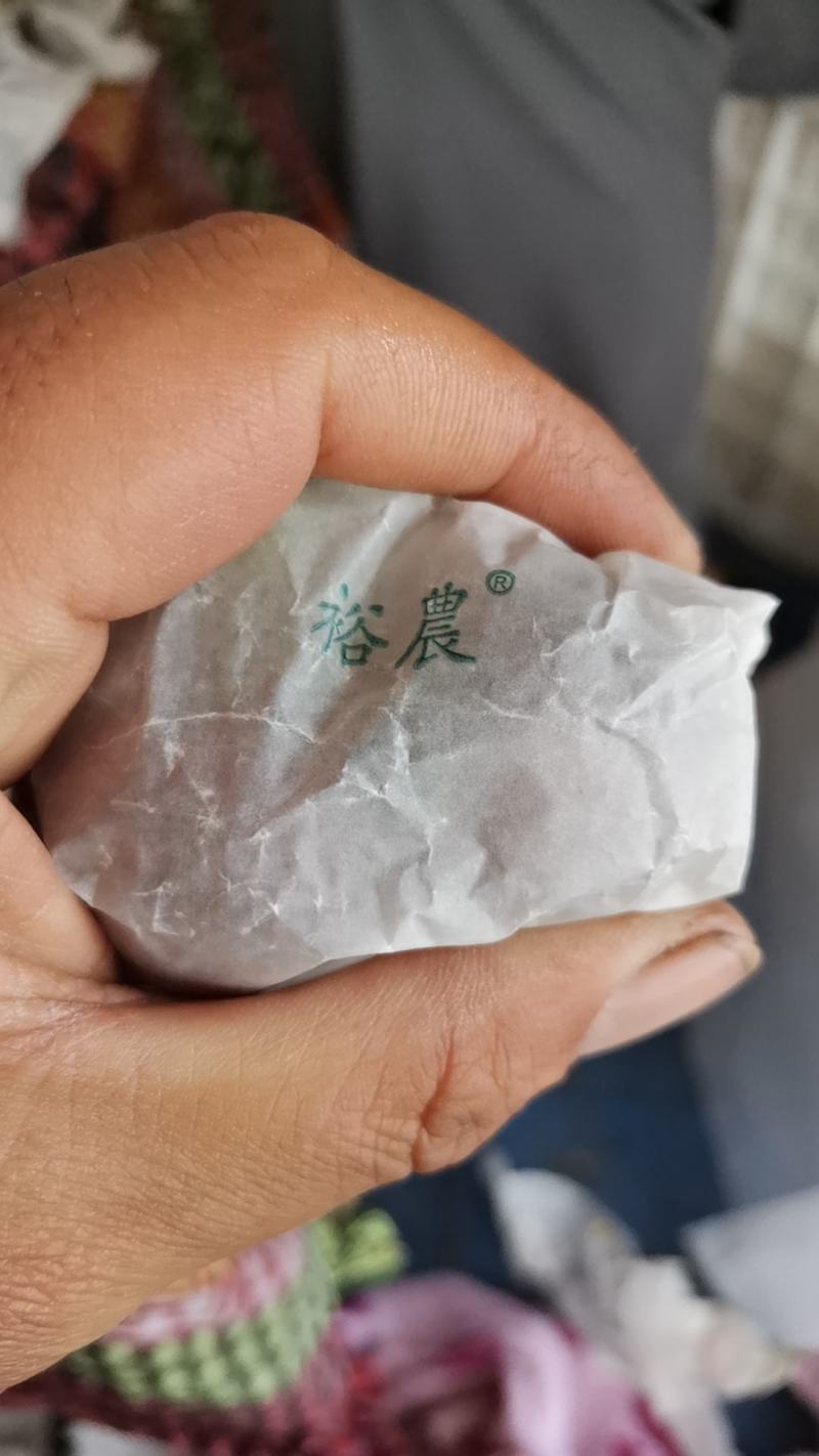套袋红灯红灯大量上市
