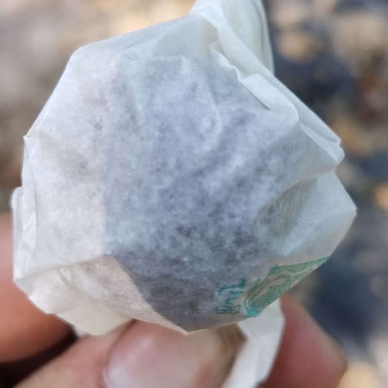 套袋红灯红灯大量上市
