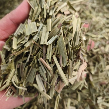 中药材绿绿的香茅草有货新货大货供应