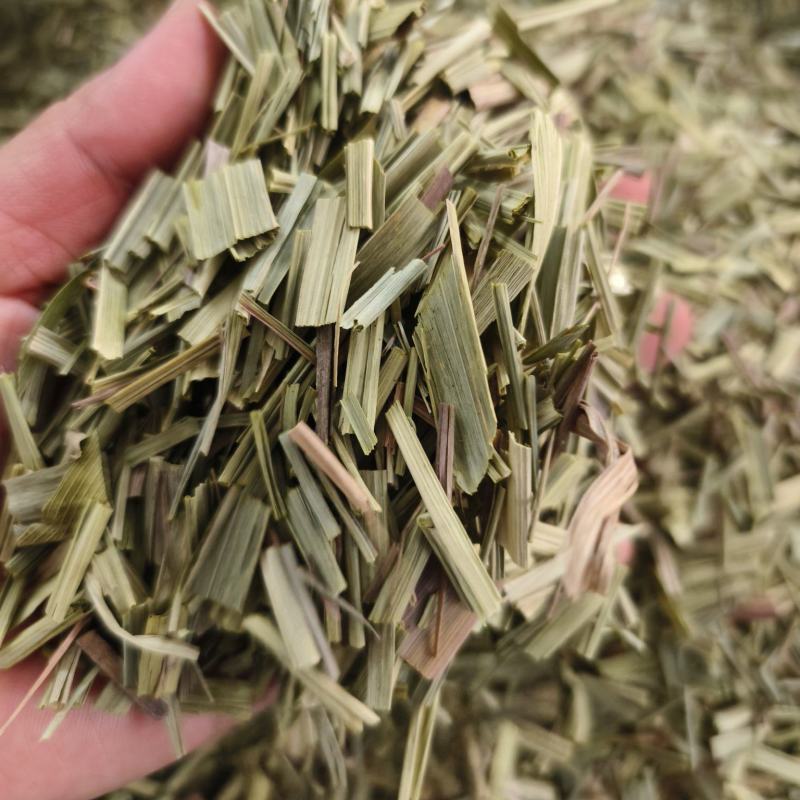 中药材绿绿的香茅草有货新货大货供应
