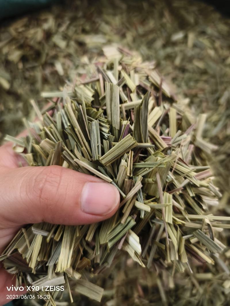 中药材绿绿的香茅草有货新货大货供应