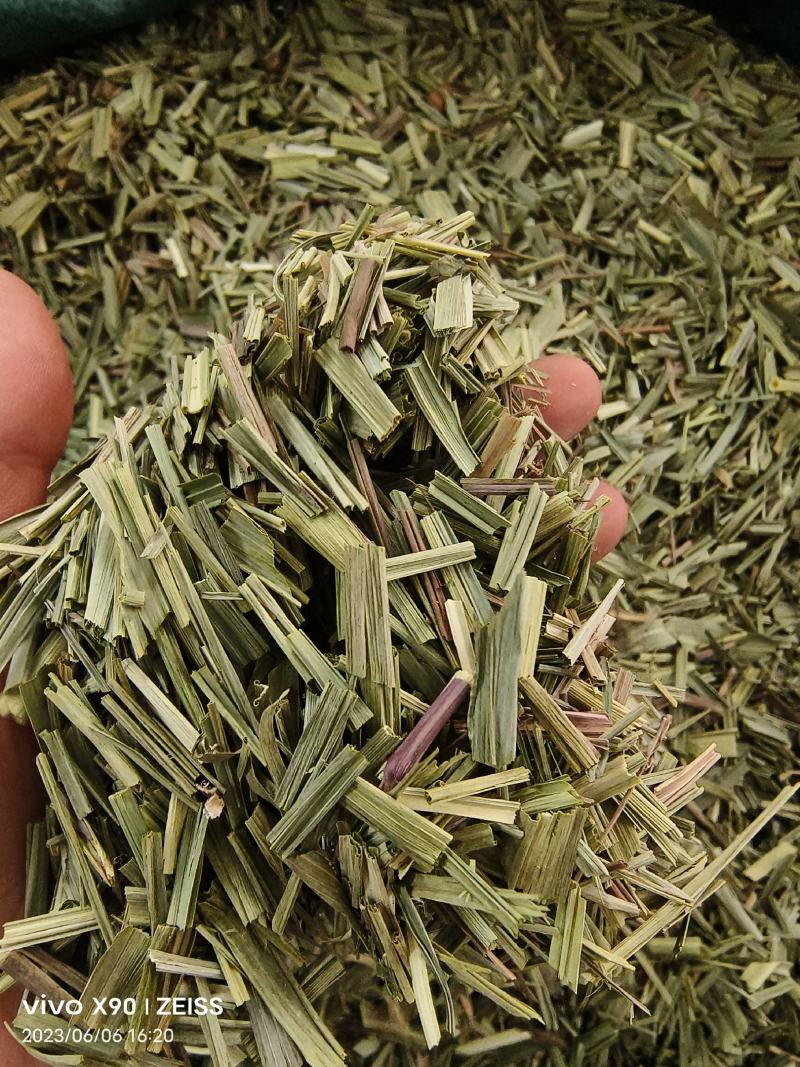 中药材绿绿的香茅草有货新货大货供应