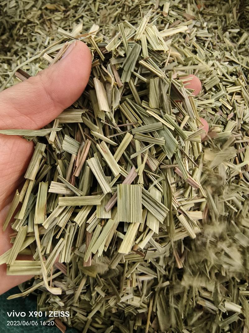 中药材绿绿的香茅草有货新货大货供应